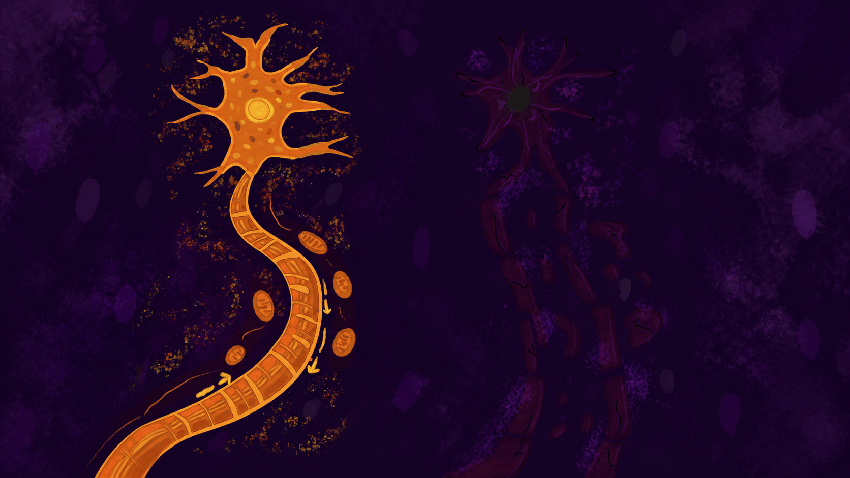 Altered Mitochondrial Trafficking