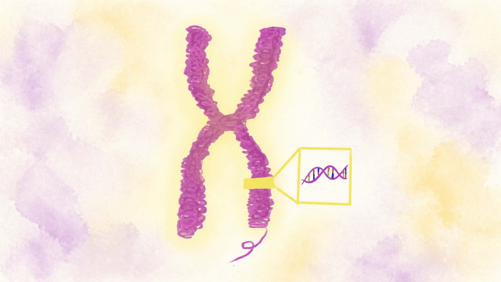 Hand-drawn chromosome with a magnified DNA double helix